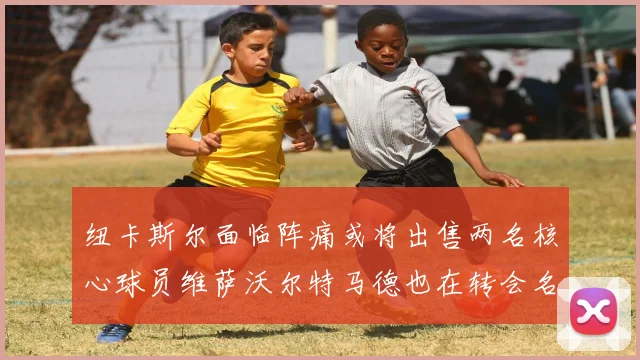 纽卡斯尔面临阵痛或将出售两名核心球员维萨沃尔特马德也在转会名单上