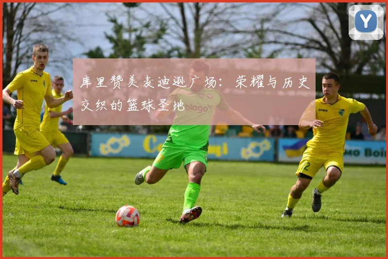 库里赞美麦迪逊广场：荣耀与历史交织的篮球圣地
